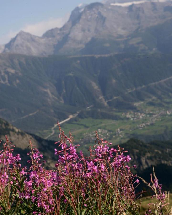 Hamilton Lodge & Spa Belalp Buitenkant foto